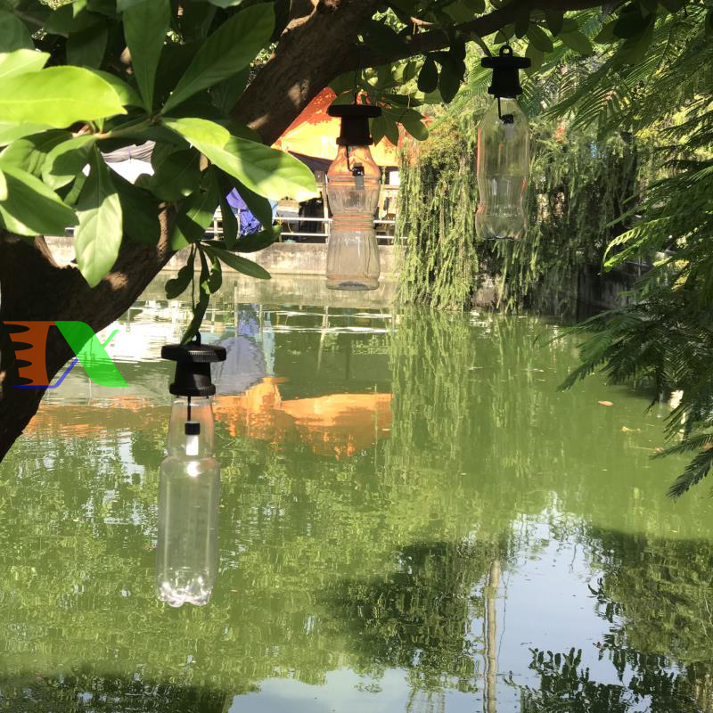 Nắp gắn chai nhựa bẫy ruồi vàng